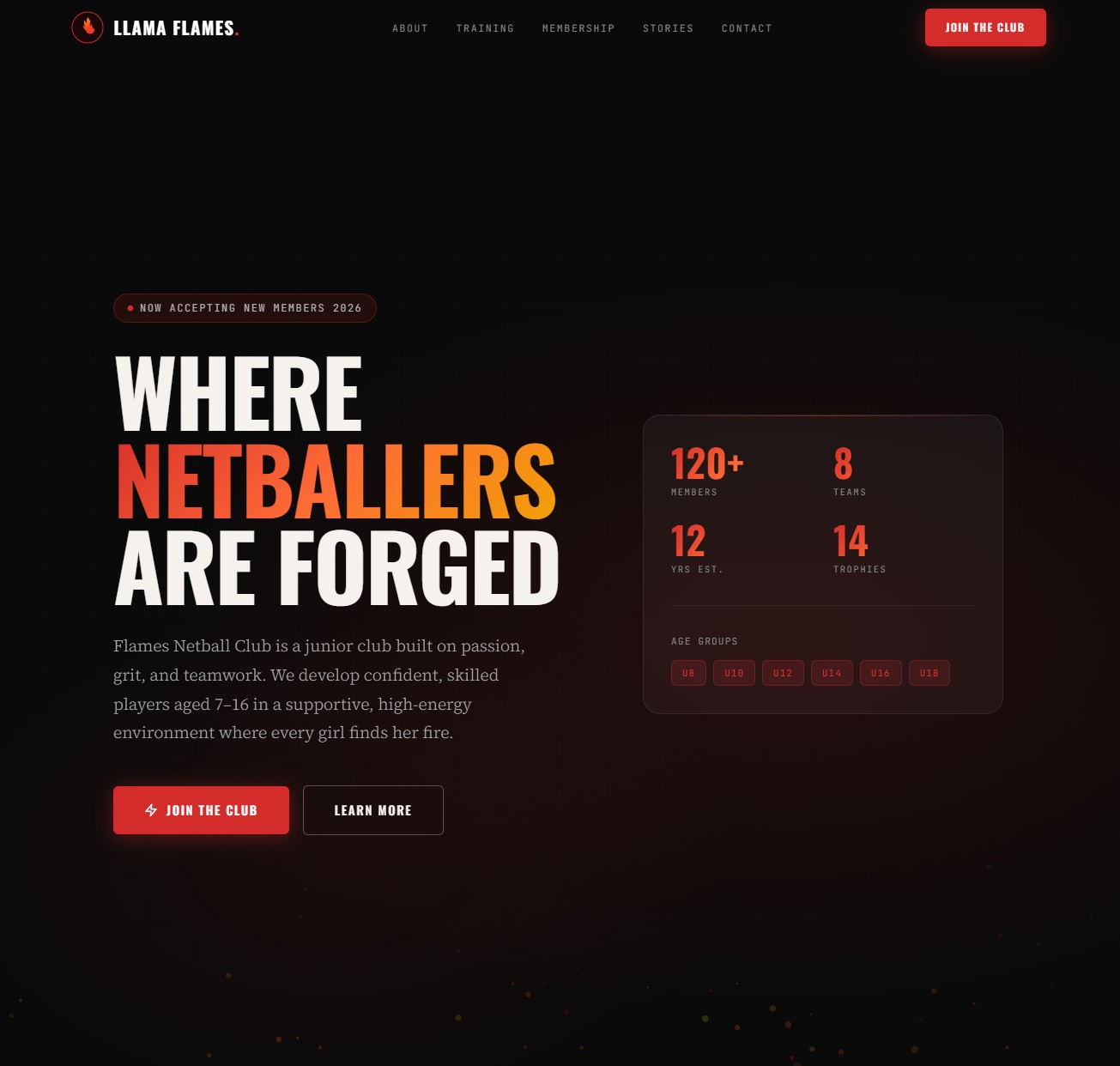 Netball Club Webdesign